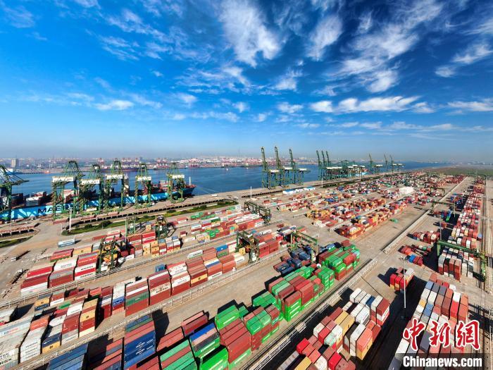 图为天津港集装箱码头。天津港集团供图